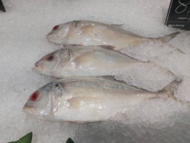 Süpermarkette dondurulmuş taze pompano. Deniz ürünleri bölümünde tam balık satılıyor. Yakın çekim; seçici odaklanma. Donmuş buz yatağından bulutlu gözler.