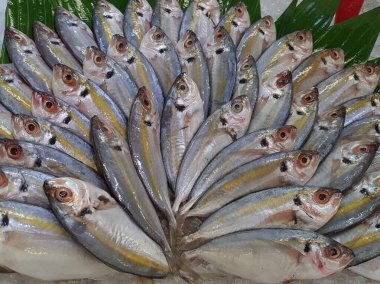 Süpermarkette dondurulmuş taze pompano. Deniz ürünleri bölümünde tam balık satılıyor. Yakın çekim; seçici odaklanma. Donmuş buz yatağından bulutlu gözler.