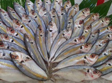 Süpermarkette dondurulmuş taze pompano. Deniz ürünleri bölümünde tam balık satılıyor. Yakın çekim; seçici odaklanma. Donmuş buz yatağından bulutlu gözler.