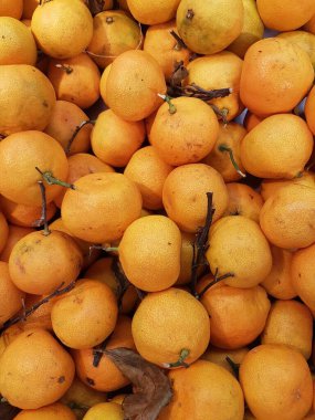 Bal hindistan cevizi portakalı ya da turunçgiller Çin 'de yeni yıl kutlamalarında sıklıkla tüketilen bir portakal türüdür..