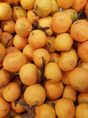 Bal hindistan cevizi portakalı ya da turunçgiller Çin 'de yeni yıl kutlamalarında sıklıkla tüketilen bir portakal türüdür..