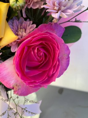 Çiçek açan kırmızı ve pembe gül yapraklarının resmi, güzel çiçek ve düğün için otantik koku veya sevgililer günü renkli buket, seçici odak.