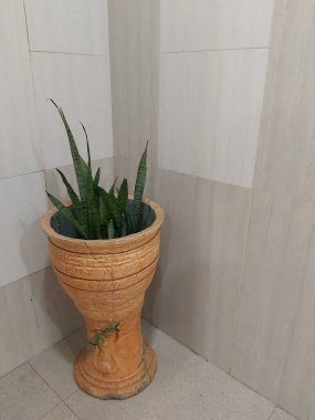 Ahşap masa odasındaki ev dekorasyonu vazosu, kafeye ya da otele uygun iç dekorasyon.