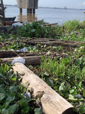 Su sümbülleri, su bitkileri ve çöpler nehirde yüzen organik ve inorganik atık yığınları. Su kirliliği çevre kavramı.