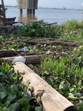 Su sümbülleri, su bitkileri ve çöpler nehirde yüzen organik ve inorganik atık yığınları. Su kirliliği çevre kavramı.