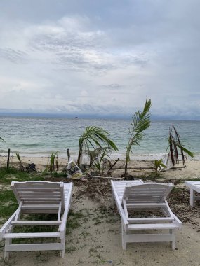 Yaz sahili manzarası. Tropik ada cenneti. Egzotik kıyılar, hindistan cevizi ağaçları, el değmemiş deniz, mavi gökyüzü. Şaşırtıcı doğa düzeni. Egzotik yolculuk geçmişi, tatil havası mükemmel duvar kağıdı.