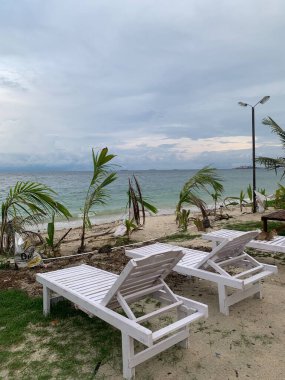 Yaz sahili manzarası. Tropik ada cenneti. Egzotik kıyılar, hindistan cevizi ağaçları, el değmemiş deniz, mavi gökyüzü. Şaşırtıcı doğa düzeni. Egzotik yolculuk geçmişi, tatil havası mükemmel duvar kağıdı.