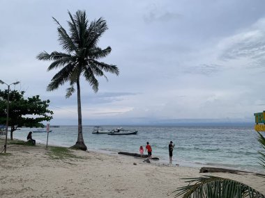 Yaz sahili manzarası. Tropik ada cenneti. Egzotik kıyılar, hindistan cevizi ağaçları, el değmemiş deniz, mavi gökyüzü. Şaşırtıcı doğa düzeni. Egzotik yolculuk geçmişi, tatil havası mükemmel duvar kağıdı.
