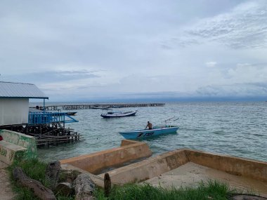 Yaz sahili manzarası. Tropik ada cenneti. Egzotik kıyılar, hindistan cevizi ağaçları, el değmemiş deniz, mavi gökyüzü. Şaşırtıcı doğa düzeni. Egzotik yolculuk geçmişi, tatil havası mükemmel duvar kağıdı.
