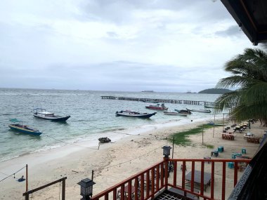 Yaz sahili manzarası. Tropik ada cenneti. Egzotik kıyılar, hindistan cevizi ağaçları, el değmemiş deniz, mavi gökyüzü. Şaşırtıcı doğa düzeni. Egzotik yolculuk geçmişi, tatil havası mükemmel duvar kağıdı.