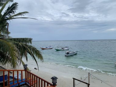 Yaz sahili manzarası. Tropik ada cenneti. Egzotik kıyılar, hindistan cevizi ağaçları, el değmemiş deniz, mavi gökyüzü. Şaşırtıcı doğa düzeni. Egzotik yolculuk geçmişi, tatil havası mükemmel duvar kağıdı.