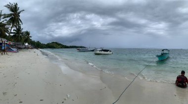 Yaz sahili manzarası. Tropik ada cenneti. Egzotik kıyılar, hindistan cevizi ağaçları, el değmemiş deniz, mavi gökyüzü. Şaşırtıcı doğa düzeni. Egzotik yolculuk geçmişi, tatil havası mükemmel duvar kağıdı.