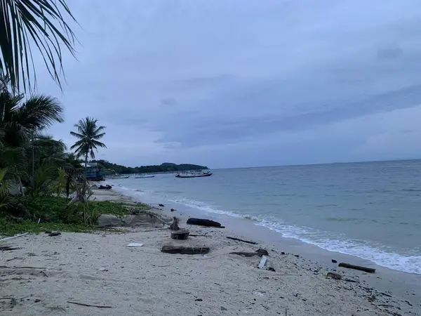 Yaz sahili manzarası. Tropik ada cenneti. Egzotik kıyılar, hindistan cevizi ağaçları, el değmemiş deniz, mavi gökyüzü. Şaşırtıcı doğa düzeni. Egzotik yolculuk geçmişi, tatil havası mükemmel duvar kağıdı.