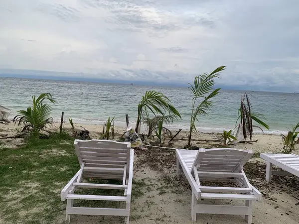 Yaz sahili manzarası. Tropik ada cenneti. Egzotik kıyılar, hindistan cevizi ağaçları, el değmemiş deniz, mavi gökyüzü. Şaşırtıcı doğa düzeni. Egzotik yolculuk geçmişi, tatil havası mükemmel duvar kağıdı.