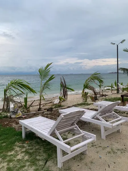 Yaz sahili manzarası. Tropik ada cenneti. Egzotik kıyılar, hindistan cevizi ağaçları, el değmemiş deniz, mavi gökyüzü. Şaşırtıcı doğa düzeni. Egzotik yolculuk geçmişi, tatil havası mükemmel duvar kağıdı.