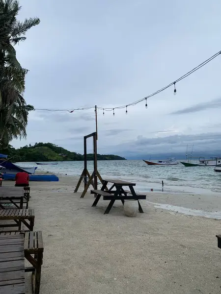 Yaz sahili manzarası. Tropik ada cenneti. Egzotik kıyılar, hindistan cevizi ağaçları, el değmemiş deniz, mavi gökyüzü. Şaşırtıcı doğa düzeni. Egzotik yolculuk geçmişi, tatil havası mükemmel duvar kağıdı.