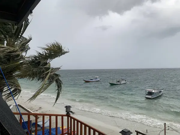 Yaz sahili manzarası. Tropik ada cenneti. Egzotik kıyılar, hindistan cevizi ağaçları, el değmemiş deniz, mavi gökyüzü. Şaşırtıcı doğa düzeni. Egzotik yolculuk geçmişi, tatil havası mükemmel duvar kağıdı.