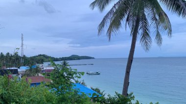 Yaz sahili manzarası. Tropik ada cenneti. Egzotik kıyılar, hindistan cevizi ağaçları, el değmemiş deniz, mavi gökyüzü. Şaşırtıcı doğa düzeni. Egzotik yolculuk geçmişi, tatil havası mükemmel duvar kağıdı.