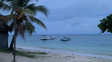 Yaz sahili manzarası. Tropik ada cenneti. Egzotik kıyılar, hindistan cevizi ağaçları, el değmemiş deniz, mavi gökyüzü. Şaşırtıcı doğa düzeni. Egzotik yolculuk geçmişi, tatil havası mükemmel duvar kağıdı.
