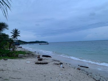 Yaz sahili manzarası. Tropik ada cenneti. Egzotik kıyılar, hindistan cevizi ağaçları, el değmemiş deniz, mavi gökyüzü. Şaşırtıcı doğa düzeni. Egzotik yolculuk geçmişi, tatil havası mükemmel duvar kağıdı.