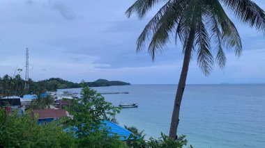 Yaz sahili manzarası. Tropik ada cenneti. Egzotik kıyılar, hindistan cevizi ağaçları, el değmemiş deniz, mavi gökyüzü. Şaşırtıcı doğa düzeni. Egzotik yolculuk geçmişi, tatil havası mükemmel duvar kağıdı.