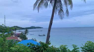 Yaz sahili manzarası. Tropik ada cenneti. Egzotik kıyılar, hindistan cevizi ağaçları, el değmemiş deniz, mavi gökyüzü. Şaşırtıcı doğa düzeni. Egzotik yolculuk geçmişi, tatil havası mükemmel duvar kağıdı.