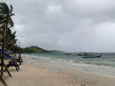 Yaz sahili manzarası. Tropik ada cenneti. Egzotik kıyılar, hindistan cevizi ağaçları, el değmemiş deniz, mavi gökyüzü. Şaşırtıcı doğa düzeni. Egzotik yolculuk geçmişi, tatil havası mükemmel duvar kağıdı.
