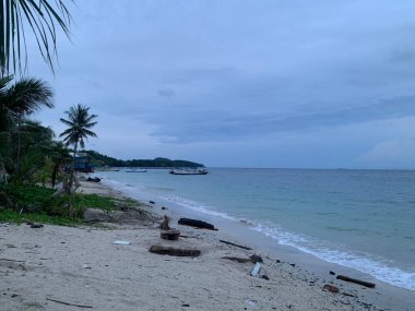 Yaz sahili manzarası. Tropik ada cenneti. Egzotik kıyılar, hindistan cevizi ağaçları, el değmemiş deniz, mavi gökyüzü. Şaşırtıcı doğa düzeni. Egzotik yolculuk geçmişi, tatil havası mükemmel duvar kağıdı.