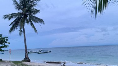 Yaz sahili manzarası. Tropik ada cenneti. Egzotik kıyılar, hindistan cevizi ağaçları, el değmemiş deniz, mavi gökyüzü. Şaşırtıcı doğa düzeni. Egzotik yolculuk geçmişi, tatil havası mükemmel duvar kağıdı.
