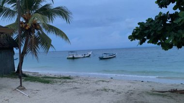 Yaz sahili manzarası. Tropik ada cenneti. Egzotik kıyılar, hindistan cevizi ağaçları, el değmemiş deniz, mavi gökyüzü. Şaşırtıcı doğa düzeni. Egzotik yolculuk geçmişi, tatil havası mükemmel duvar kağıdı.