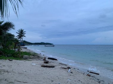 Yaz sahili manzarası. Tropik ada cenneti. Egzotik kıyılar, hindistan cevizi ağaçları, el değmemiş deniz, mavi gökyüzü. Şaşırtıcı doğa düzeni. Egzotik yolculuk geçmişi, tatil havası mükemmel duvar kağıdı.