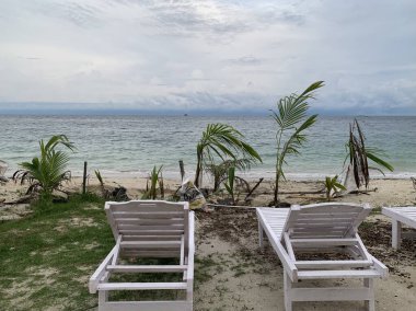 Yaz sahili manzarası. Tropik ada cenneti. Egzotik kıyılar, hindistan cevizi ağaçları, el değmemiş deniz, mavi gökyüzü. Şaşırtıcı doğa düzeni. Egzotik yolculuk geçmişi, tatil havası mükemmel duvar kağıdı.