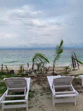 Yaz sahili manzarası. Tropik ada cenneti. Egzotik kıyılar, hindistan cevizi ağaçları, el değmemiş deniz, mavi gökyüzü. Şaşırtıcı doğa düzeni. Egzotik yolculuk geçmişi, tatil havası mükemmel duvar kağıdı.