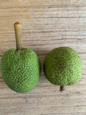 Moraceae ailesinin tüm ekmek meyvesi üyeleri Artocarpus altilis ve dilimler ahşap yüzeyde sergilenir. Nişastalı, patates gibi kızarmasıyla tanınır. yiyecek fotoğrafçılığı, meyve fotoğrafçılığı yiyecek ve içecek.