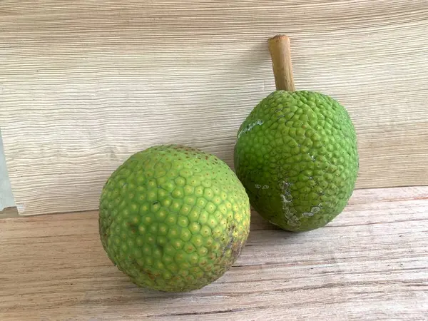 Moraceae ailesinin tüm ekmek meyvesi üyeleri Artocarpus altilis ve dilimler ahşap yüzeyde sergilenir. Nişastalı, patates gibi kızarmasıyla tanınır. yiyecek fotoğrafçılığı, meyve fotoğrafçılığı yiyecek ve içecek.