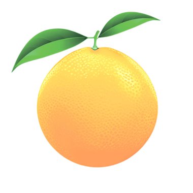 Beyaz arka planda iki yeşil yapraklı bir portakal tasviri. Tasarım amaçları için mükemmel bir çizim.