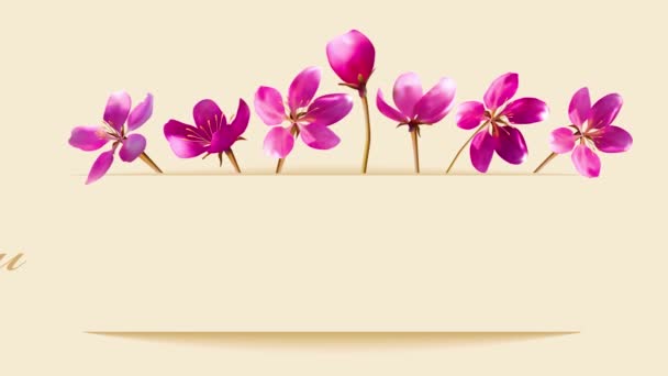 4K带米色背景花朵的视频卡 一个有漂亮题词的信封 — 图库视频影像
