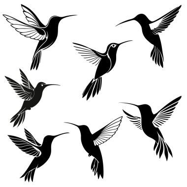 Uçuş sırasında farklı pozlarda yedi sinekkuşu silueti.