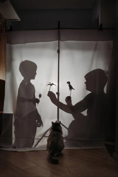 Father and son play dinosaur shadow play