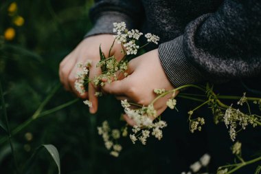 Little boy holding wildflowers in his hands. Selective focus.