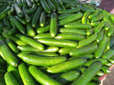 Taze toplanmış Yeşil Salatalıklar