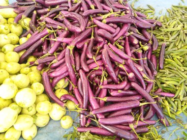 Freshly Harvested Green Brinjal clipart