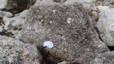 Eski binadan geriye kalanların yıkım videosu desenli taşlara benziyor.