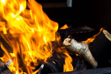 Yanan kütük. Ateşle. Ağaç yanıyor.