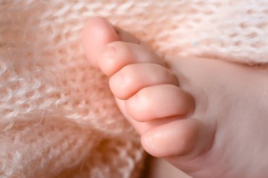 Küçük çocuk bıçakları. Küçük yeni doğmuş bacaklar. Ebeveynlerin mutluluğu.