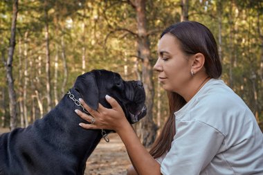 Korso köpeği olan genç bir kadın ormanda birlikte oturuyor. Mutlu evcil hayvan ve gülen kadın doğanın tadını çıkarıyor. Yaz ormanı geçmişi, arkadaşlık, hayvan sevgisi, sorumluluk sahibi köpek sahibi olma..