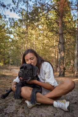 Korso köpeği olan genç bir kadın ormanda birlikte oturuyor. Mutlu evcil hayvan ve gülen kadın doğanın tadını çıkarıyor. Yaz ormanı geçmişi, arkadaşlık, hayvan sevgisi, sorumluluk sahibi köpek sahibi olma..