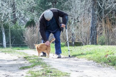 Yaşlı adam kedisini okşamak için eğiliyor..