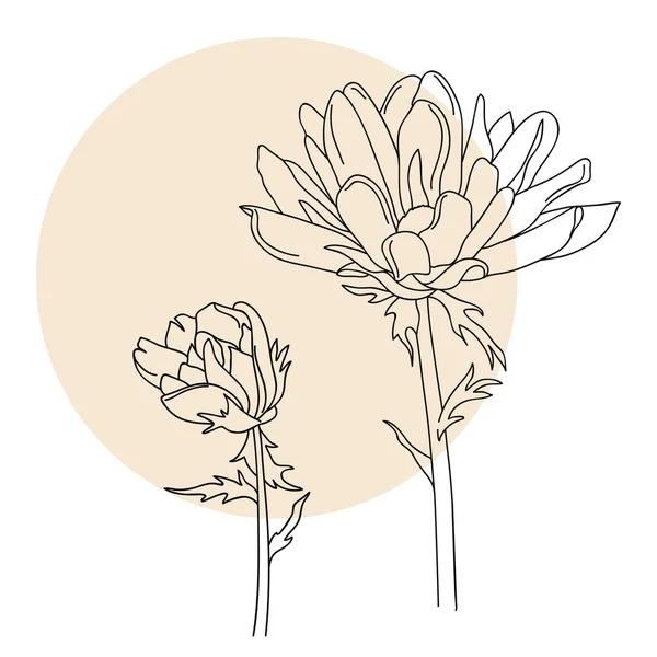 두 개의 꽃, 선형 삽화. — 스톡 벡터