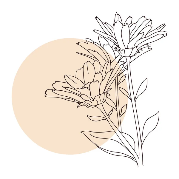 Vilda Blommor Vektorlinjär Illustration — Stock vektor